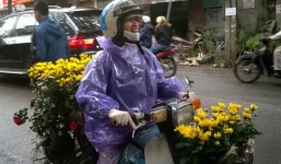 Năm nay chợ hoa Tết Hà Nội họp muộn